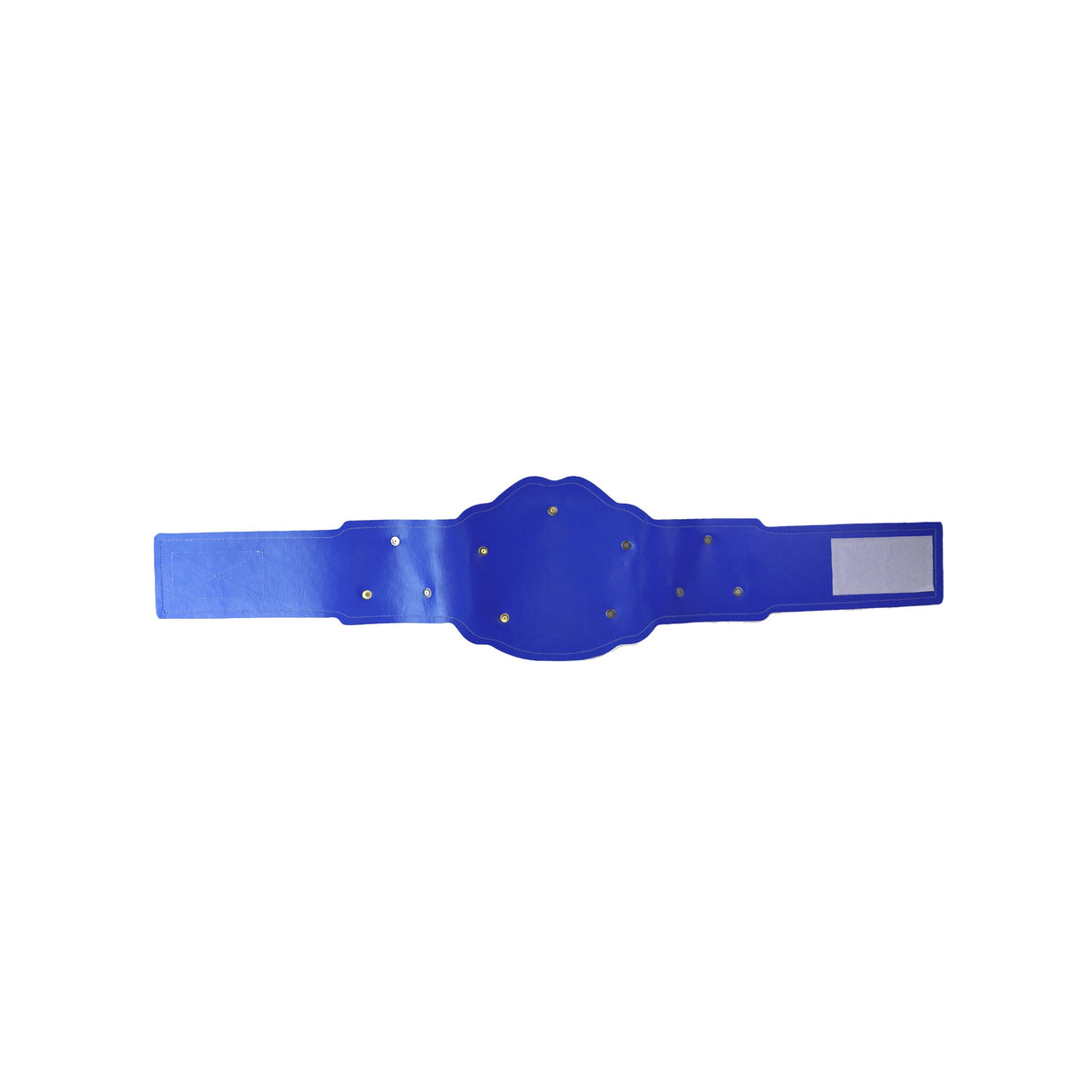 GEN2 CHAMPION BELT ROYAL BLUE