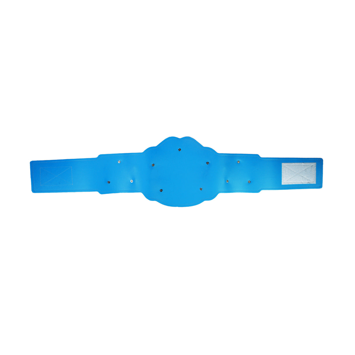 GEN2 BELT LIGHT BLUE & GOLD