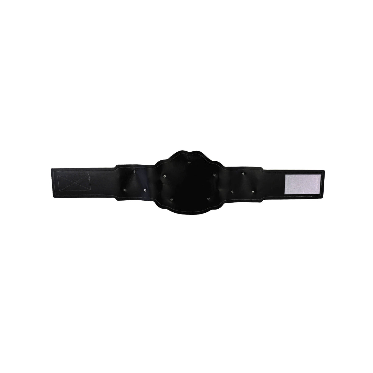 GS26 BELT BLACK/GOLD