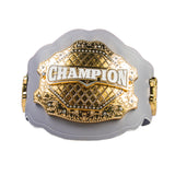 GEN2 BELT GREY & GOLD