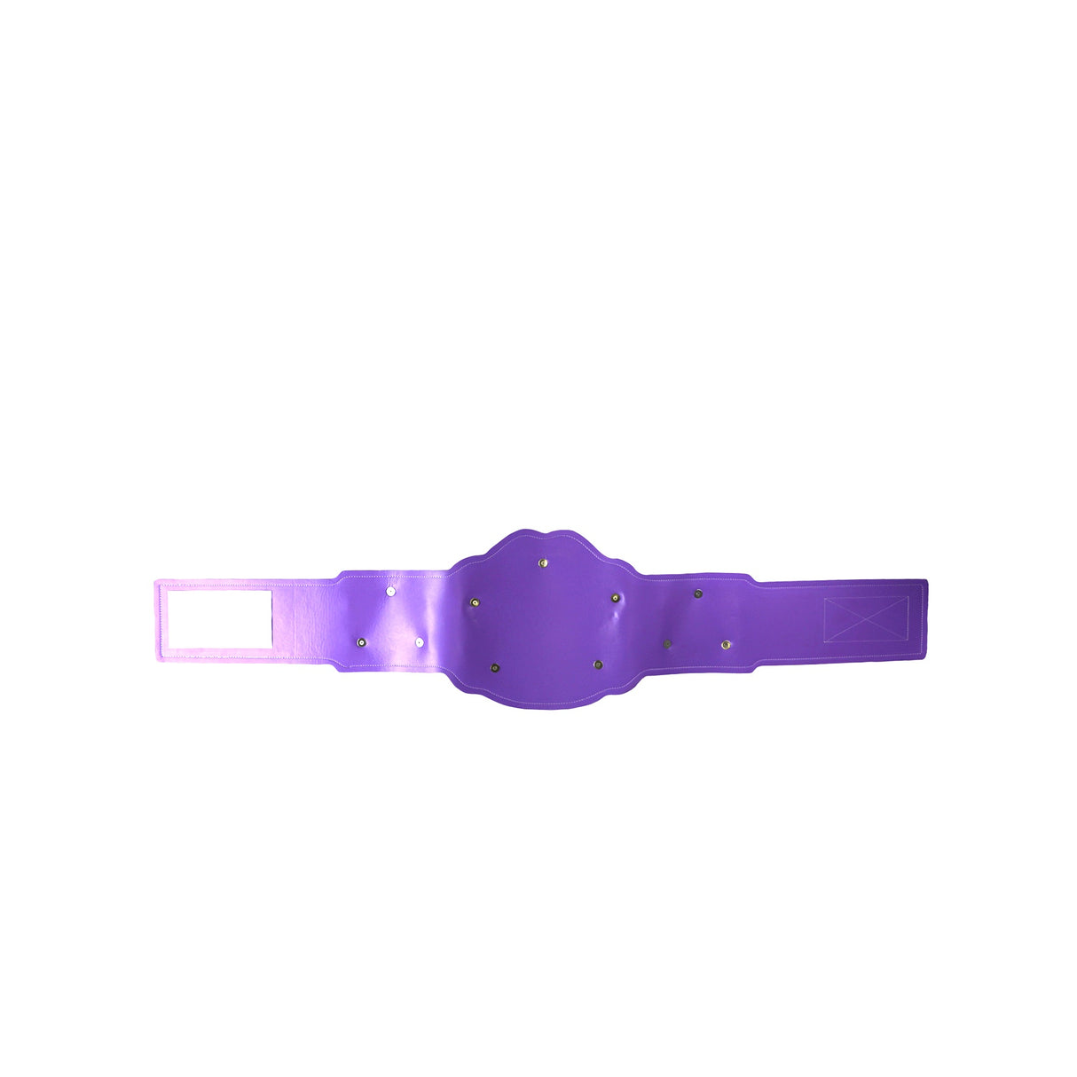 GEN2 CHAMPION BELT GRAPE