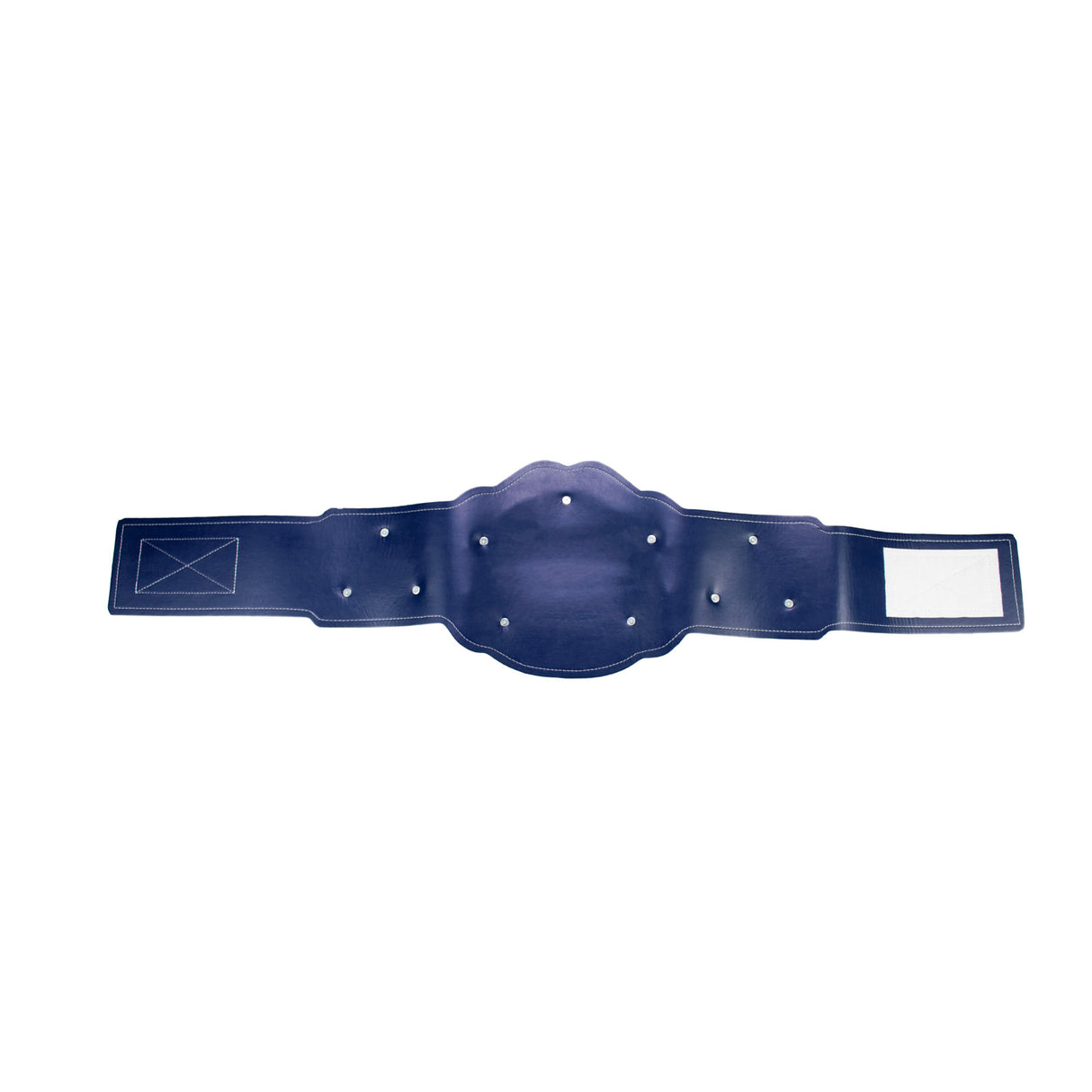 GEN2 BELT NAVY BLUE & GOLD