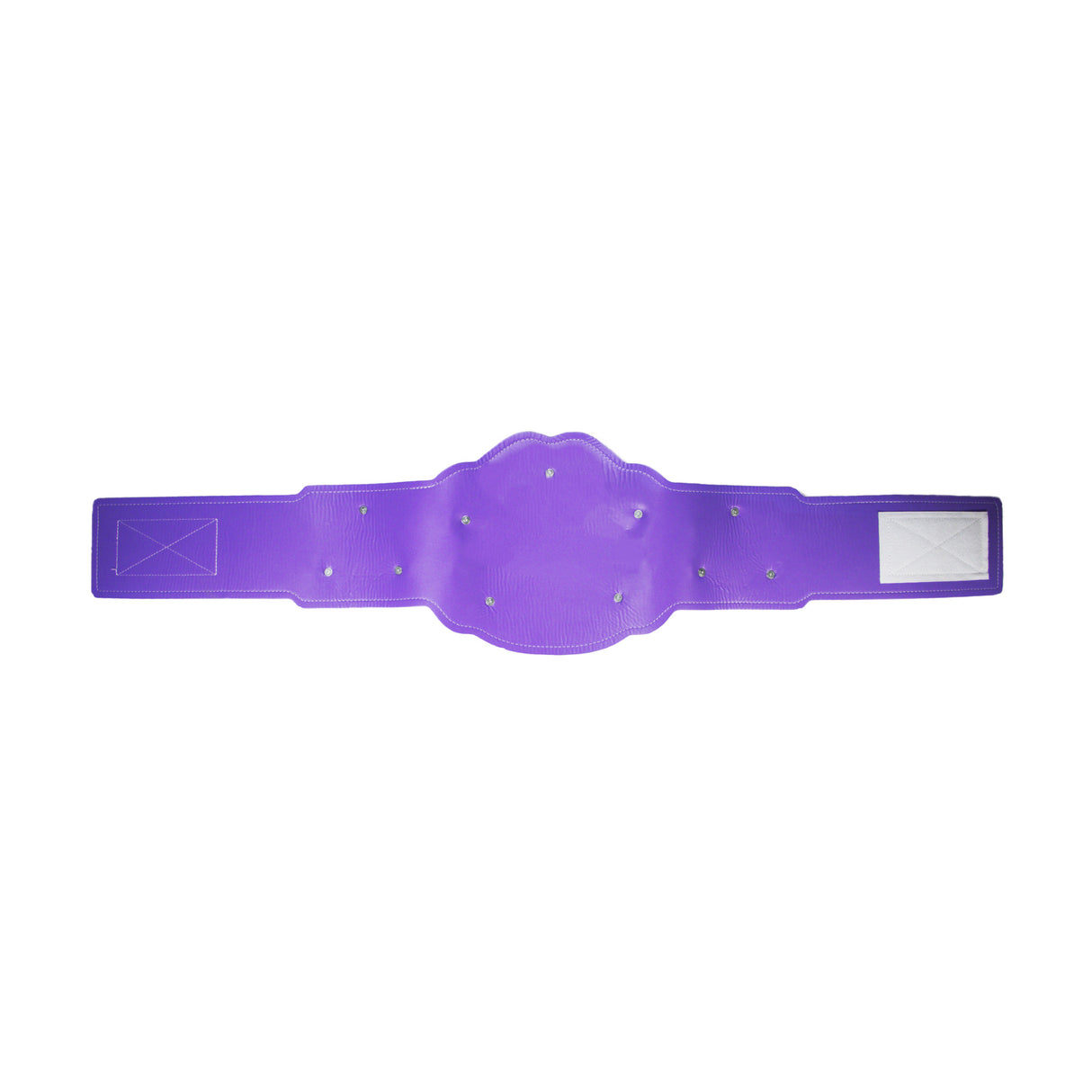 GEN2 BELT PURPLE & GOLD