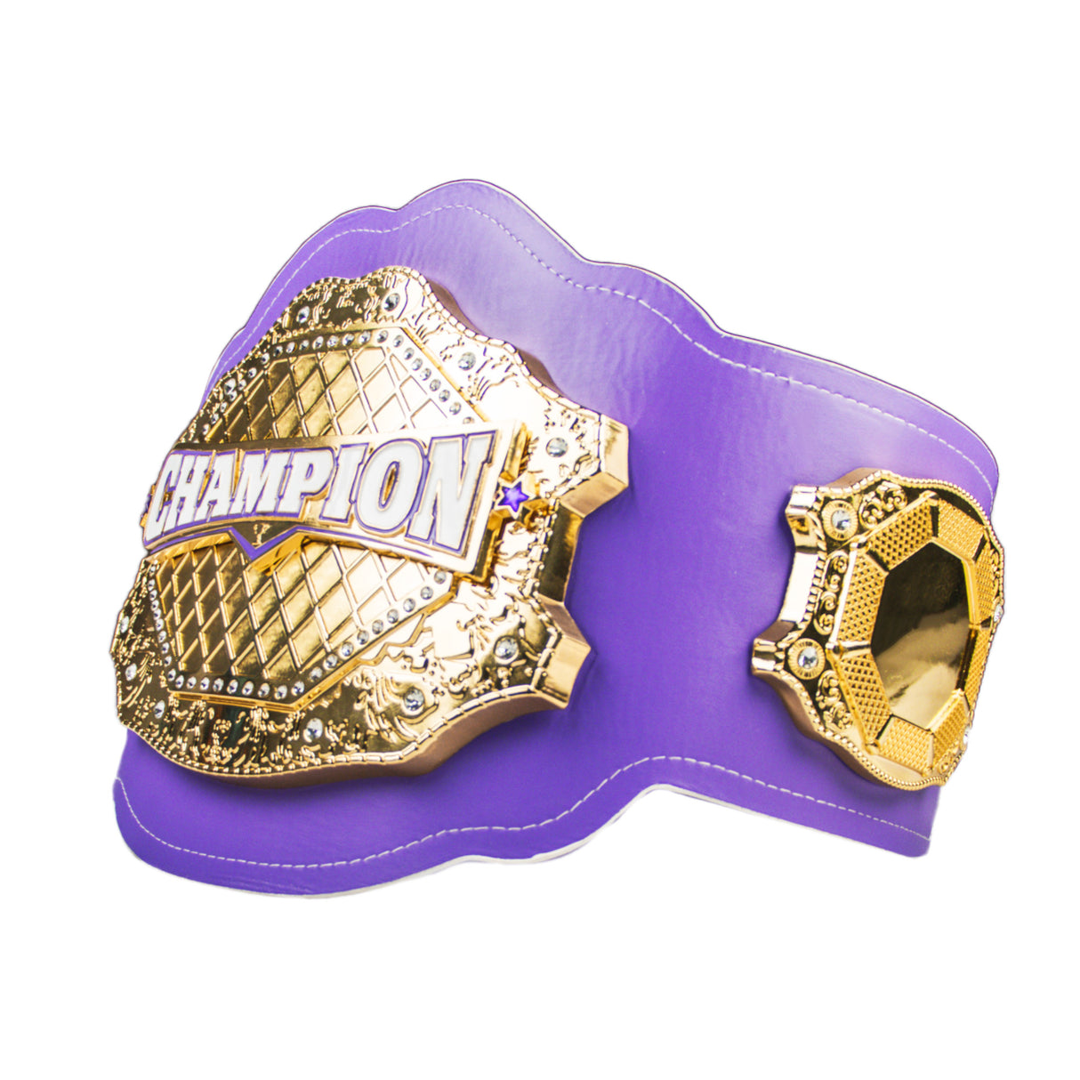 GEN2 BELT PURPLE & GOLD